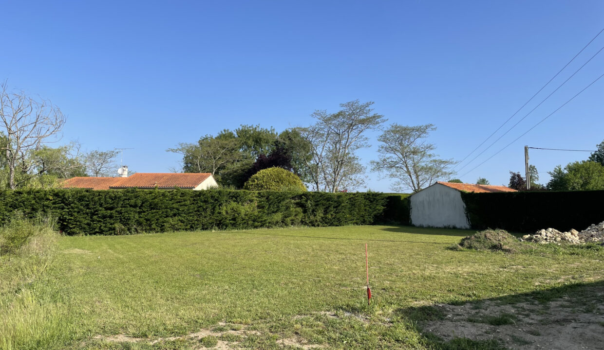 photo_0c099dbfe2ad989be35913c8aa87b802
