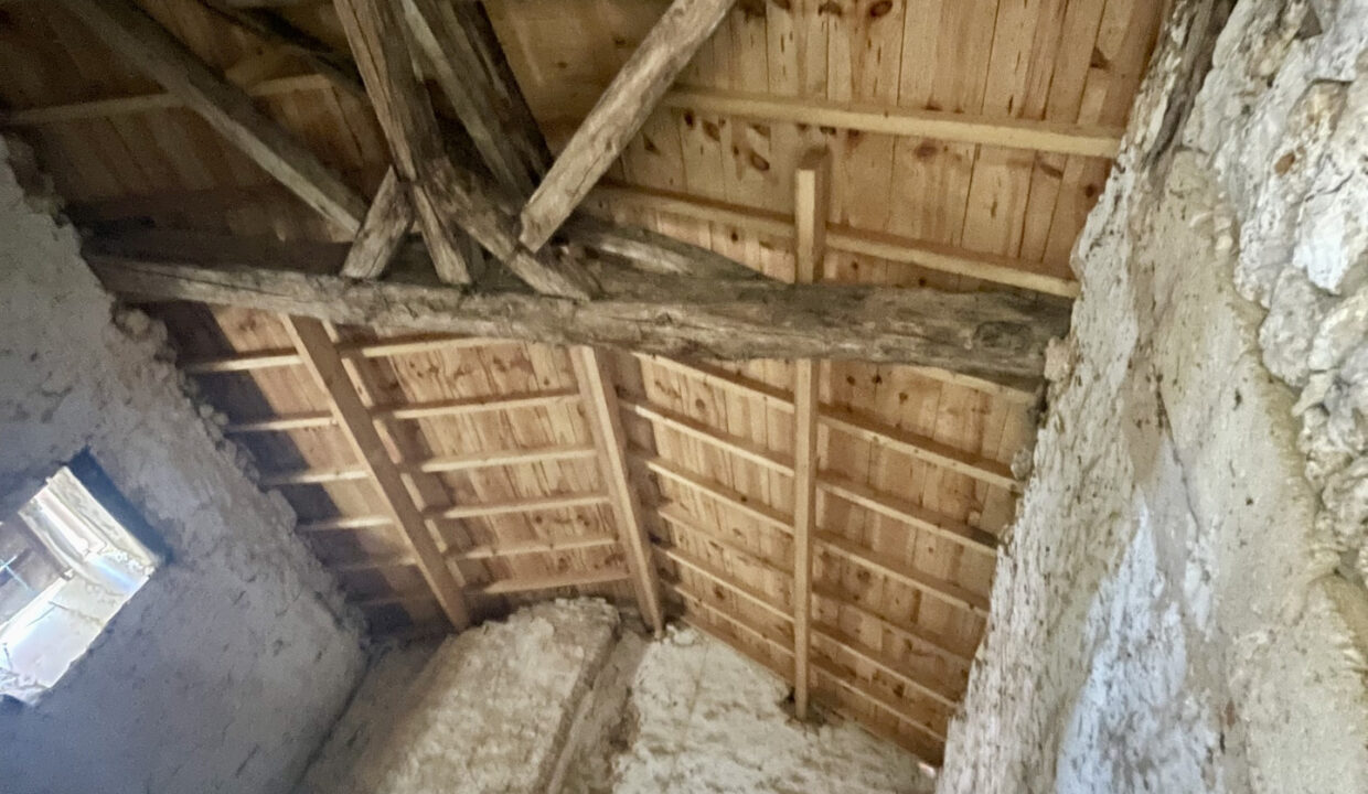 photo_1bd8e2dcd3c3c82a1b772c7f23b89ed0