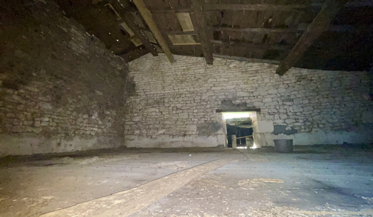 photo_5717304046cc23349dae69b512762d19