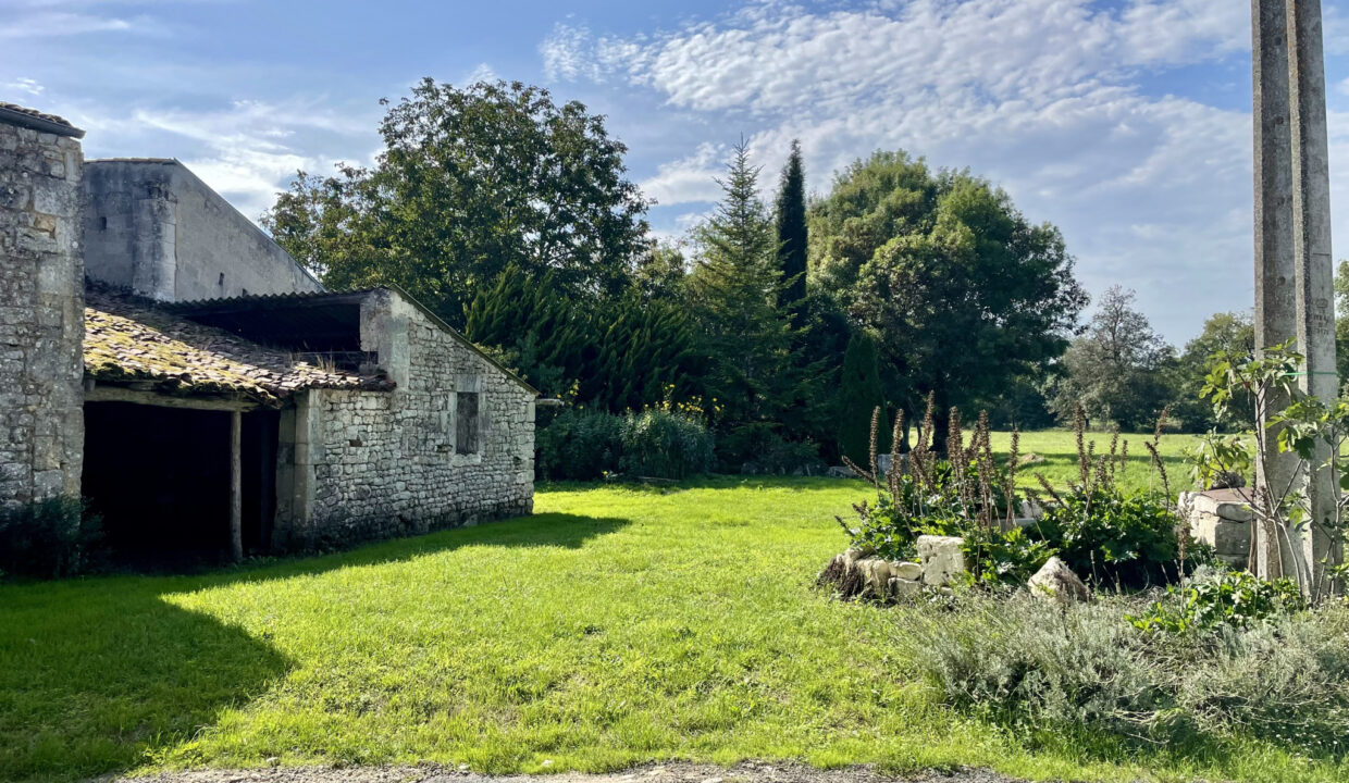 photo_b2e811d4abd959fb0792ac80aac946ff