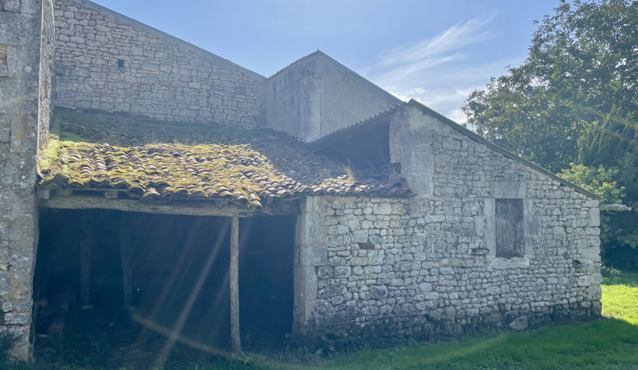 photo_f4cb8bad2c80d8d95dca3c0f036c100b