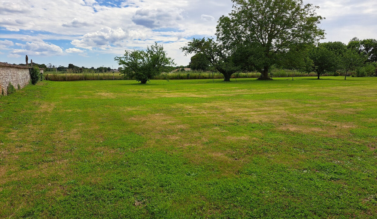 photo_0992e1dc83d76af76b24f5dc4ae97d1f