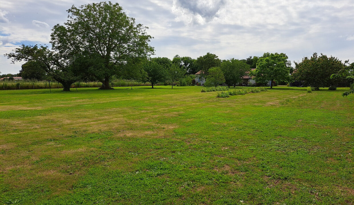 photo_1f5a4e7fe165e1faa3bae7dc1c4eae71