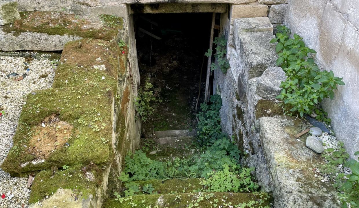 photo_56ba6e24d76bea314dd43d62648a3d2e