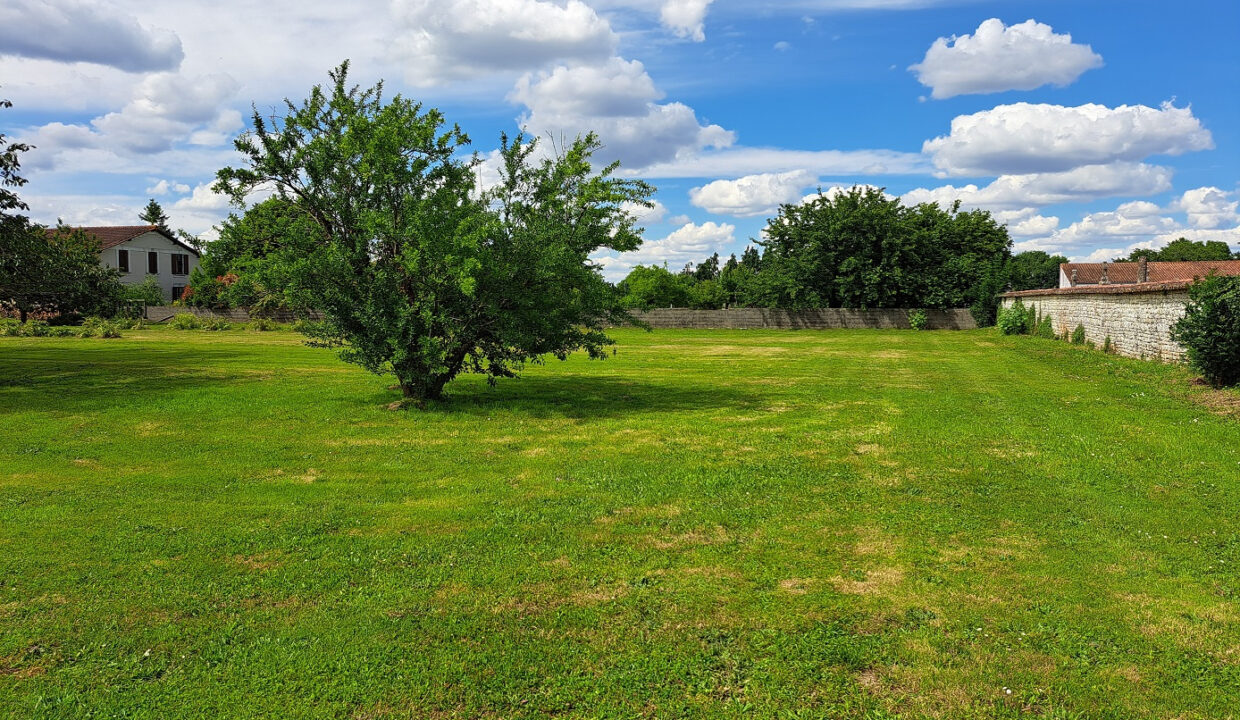 photo_a54f44431076495018ae5df4ff9cebe7