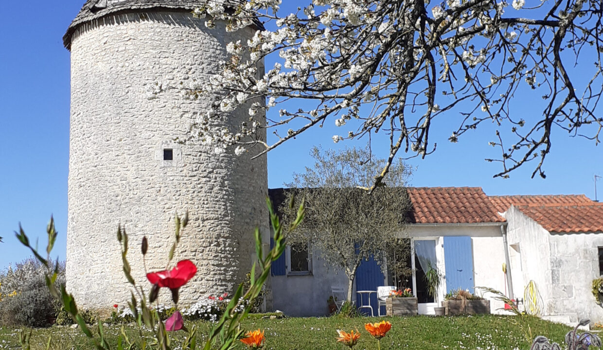 photo_a5c38d308720b784c65a19e9d8d925a6