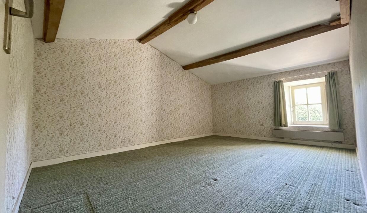 photo_d5aeebaf520ab8b8682fef3e27cb9eda