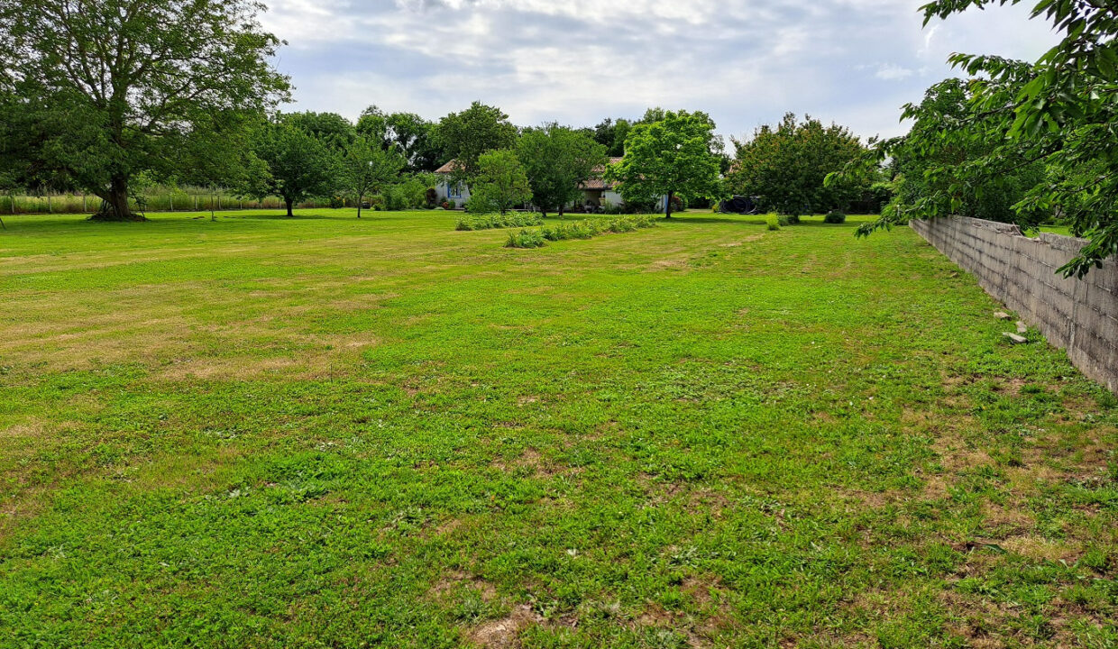 photo_eef7e64bcbb0859efaaf38f3e9160697