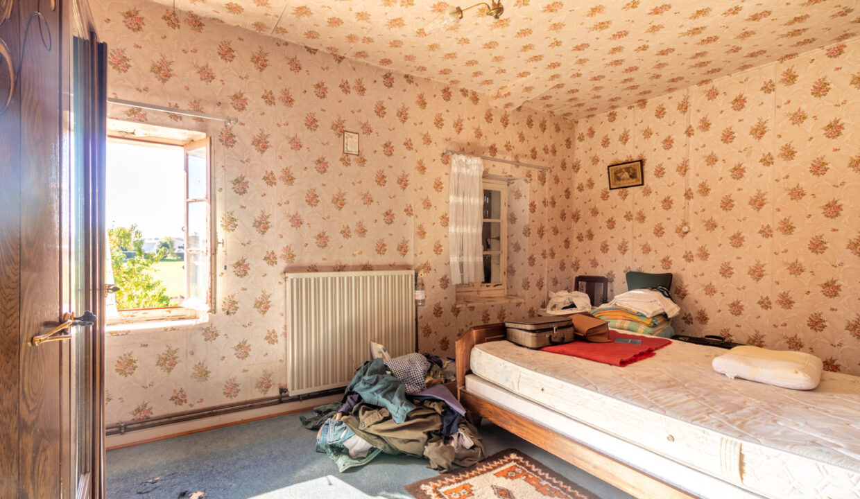 photo_ef30a8b5e28f97759361e3897db4738c