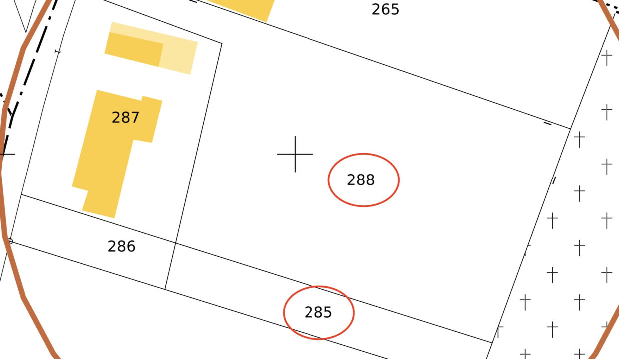 photo_fbfd8e32ea7513c23bc8855b805436b1