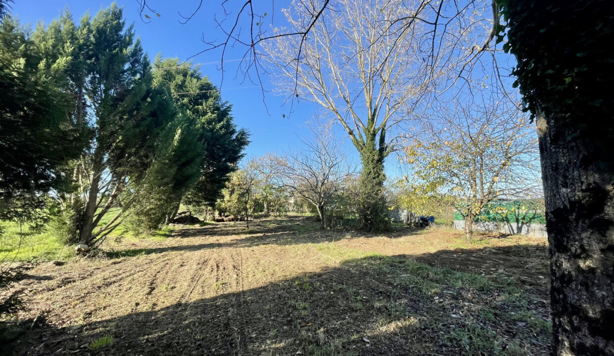 photo_1dbe7b48d7648b513ba79b83150bebc5