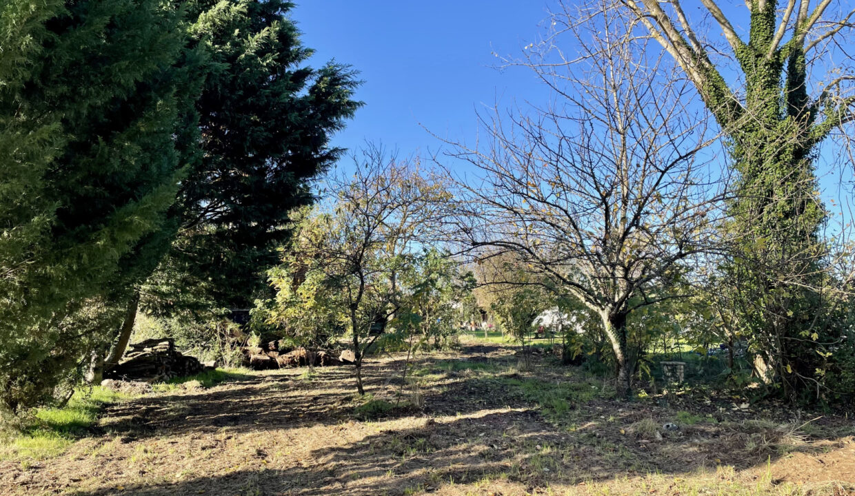 photo_31e0fdb37342de81c6051dca7ed6a692