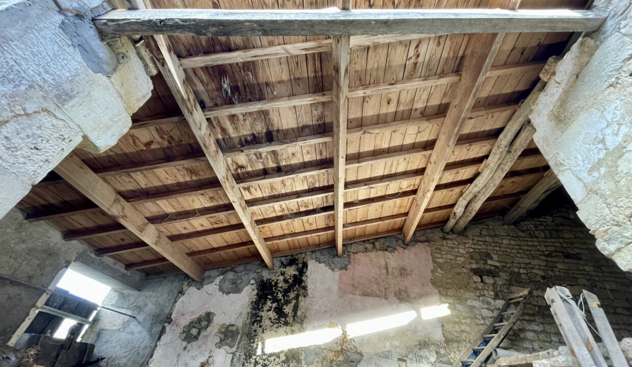 photo_36d915065f74097cc1200e911cc6ce21