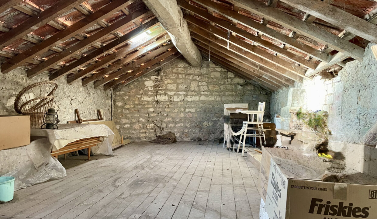 photo_5120ec5dedf1ba7afa1f4071005e088f