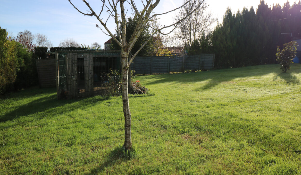 photo_5560a48509e00bf41c66aa3b7cd86b39