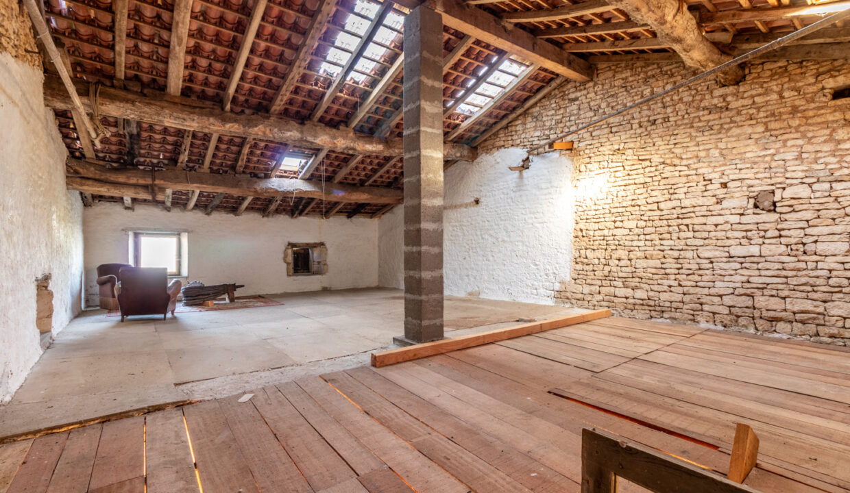 photo_8415489df4d2969e9cc716244ece7492