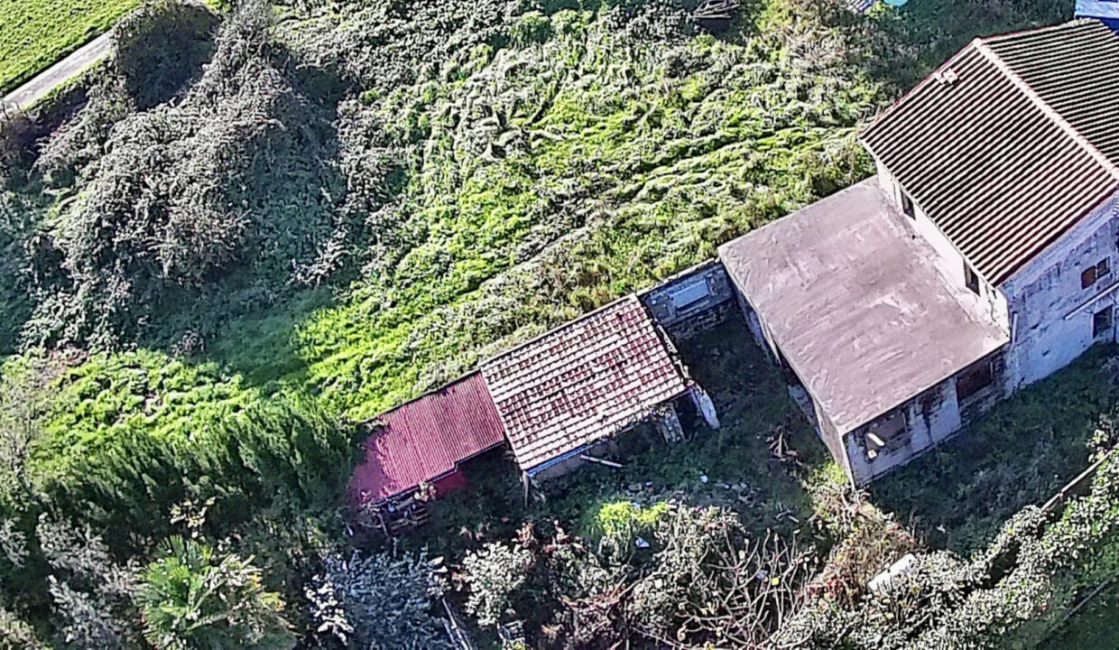 photo_a456d0d3f99ec63d4b8c0e66d1bf6893