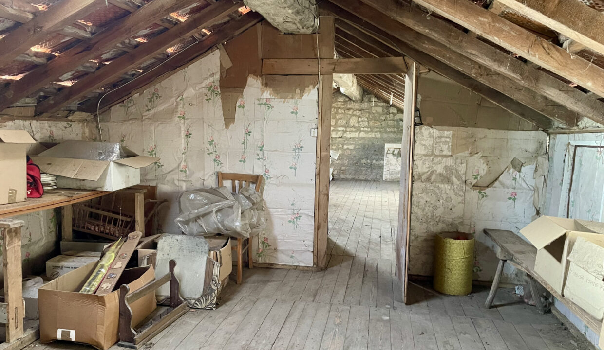 photo_b9c54fd670edeb0c84b1a9bf0b1b555d