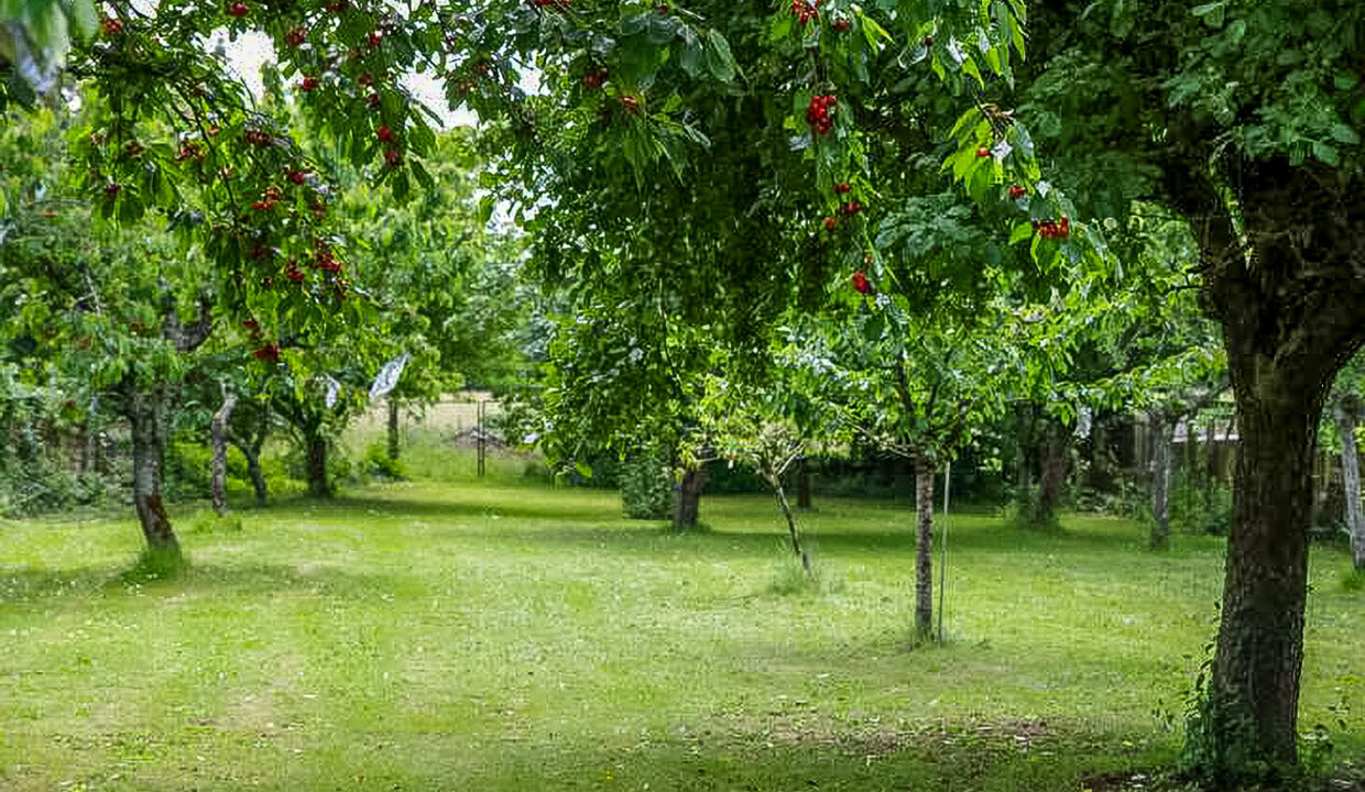 photo_b9c729b871fd050a79f51e2d95c2262e