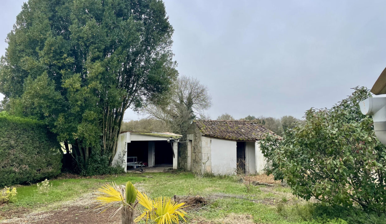 photo_c618e5f8e46f041d03960aaca33c0262