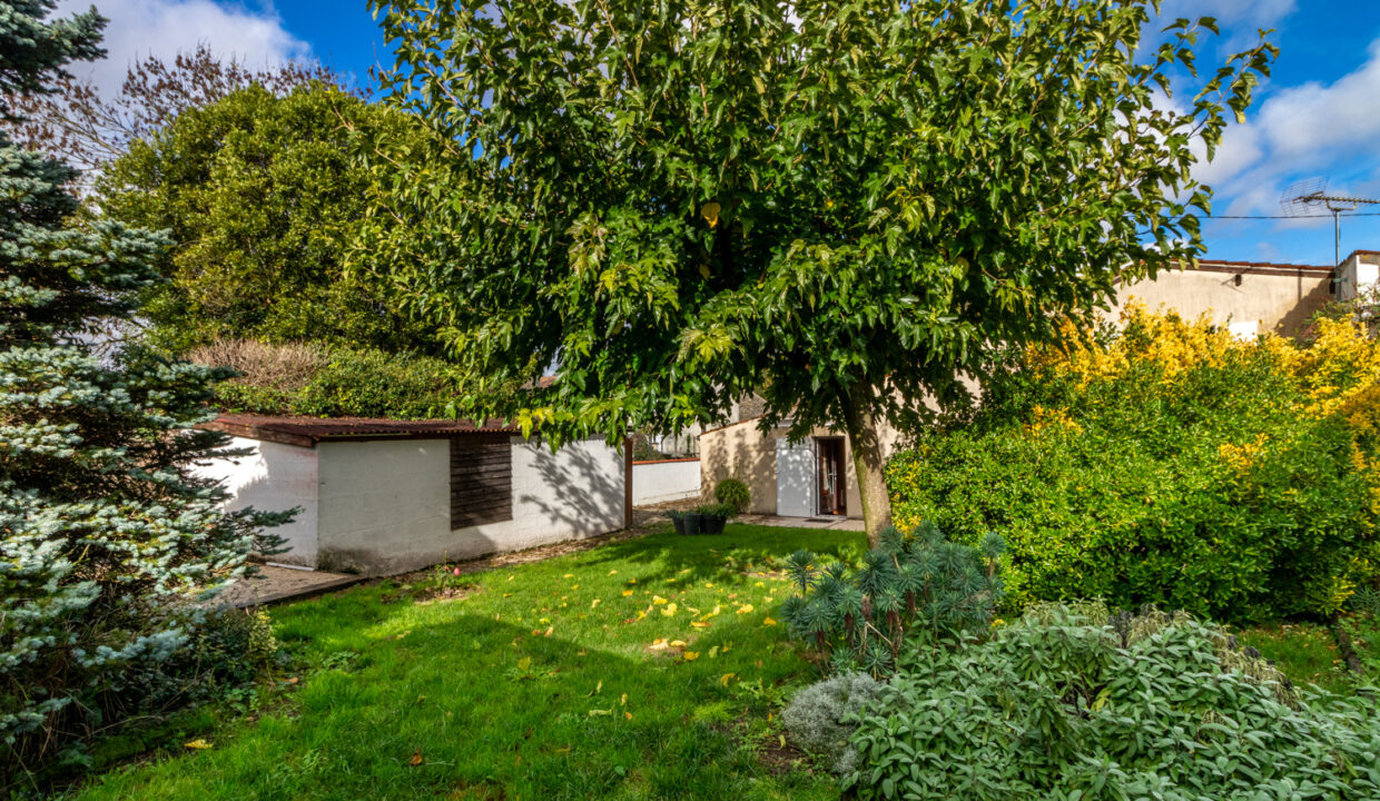 photo_d3266533fefcd41ccfee8e575115eac1