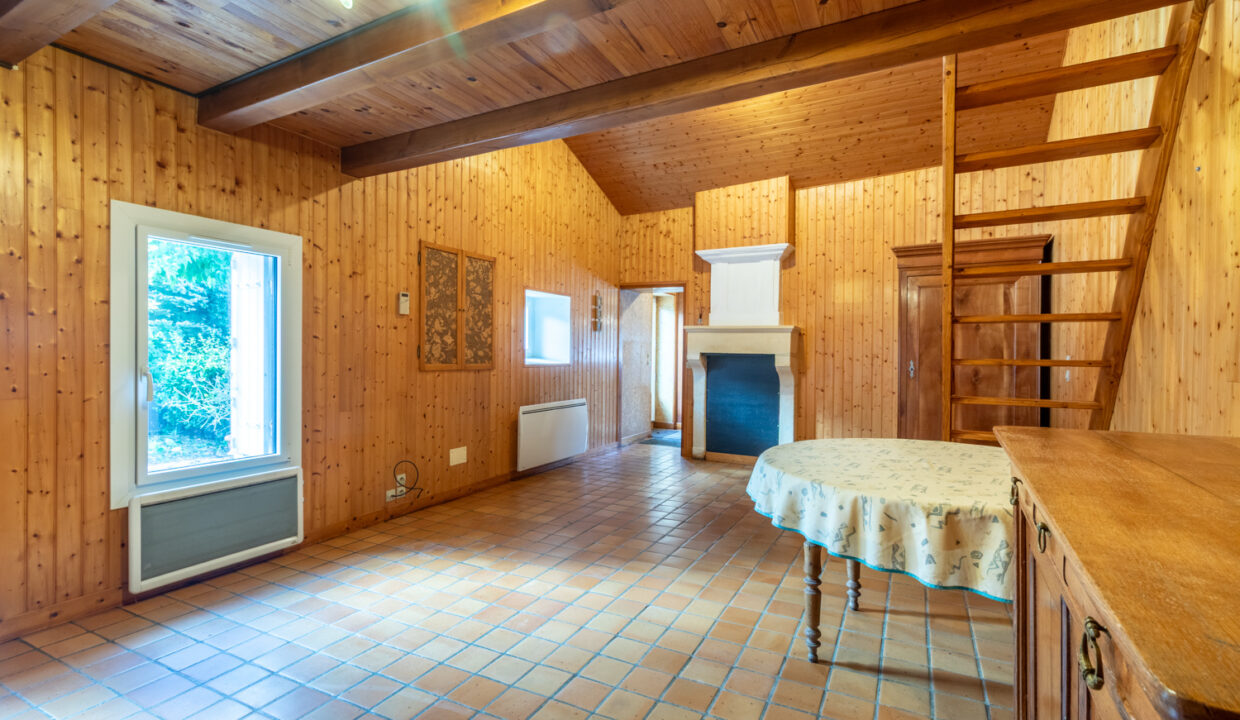 photo_d9ee2e89cced270789b56582e7678504