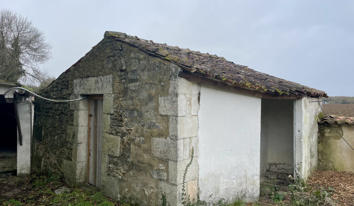 photo_e1ee6a6b4e59439659d2e85c6b922c28