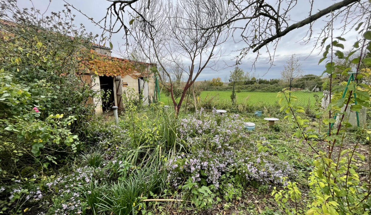 photo_f4388a75a944ab916372159ce49b70a2