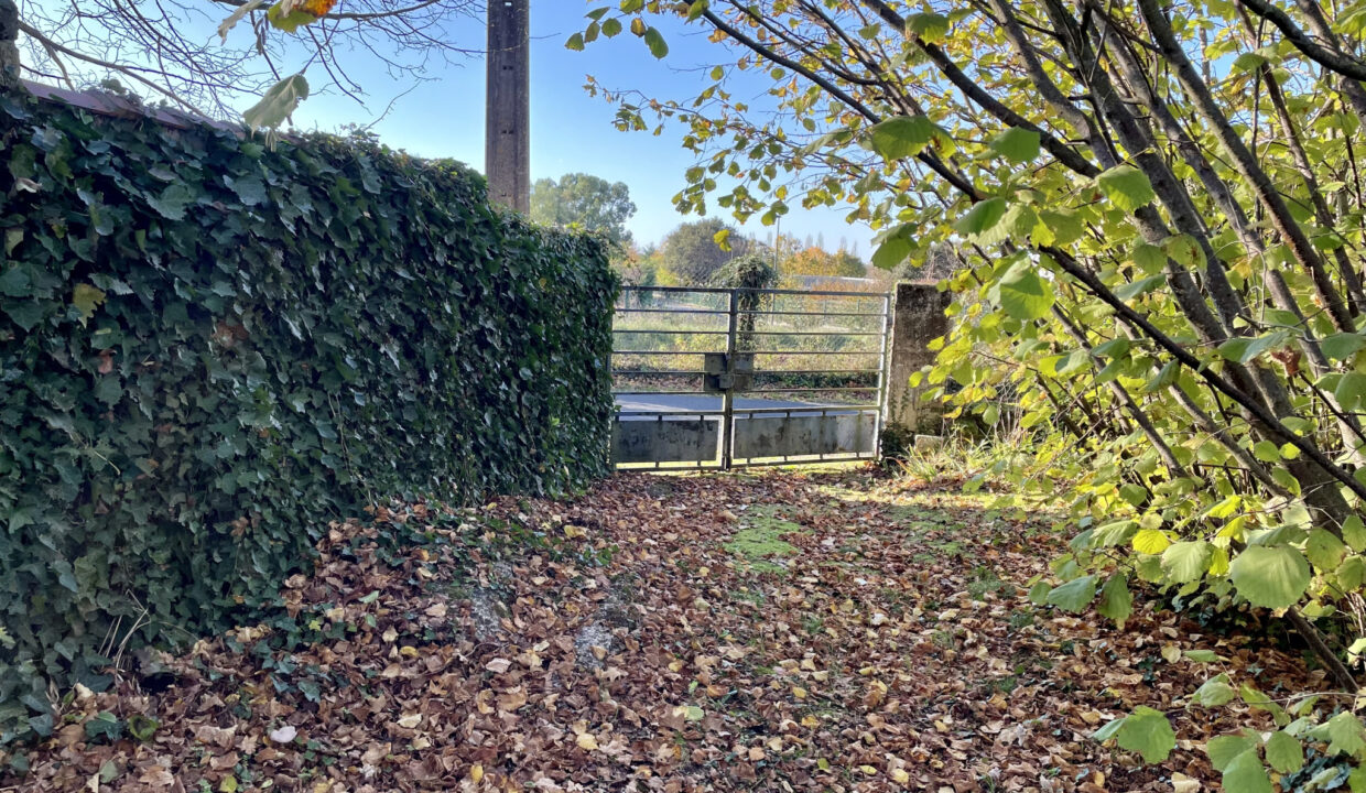 photo_f6d93af9771d550cee7a2d0b461db216