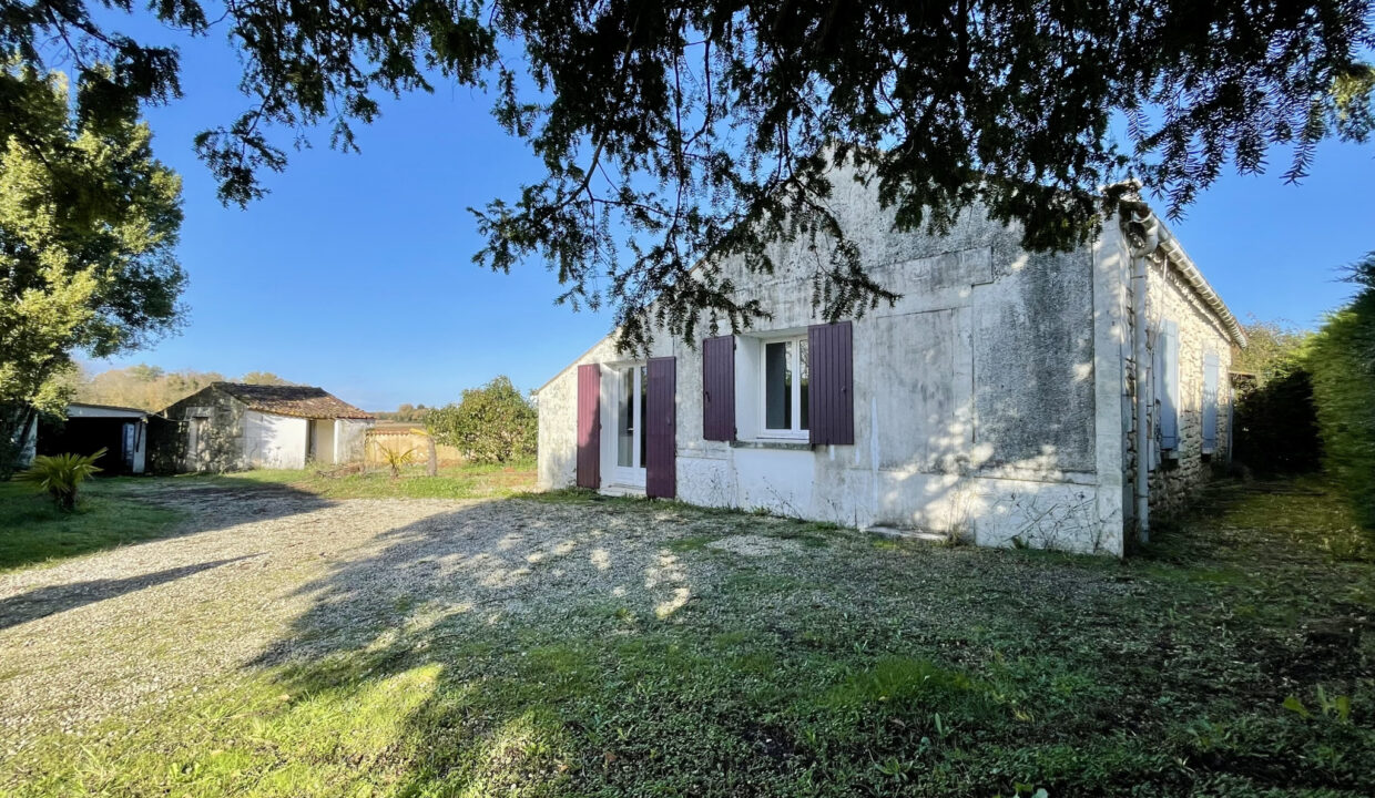 photo_07825bdb8709722a60ddf376cfd757b0