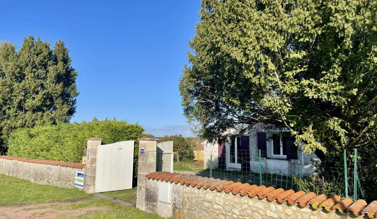 photo_5180f7979fe1cc5fadec531e08cdc209