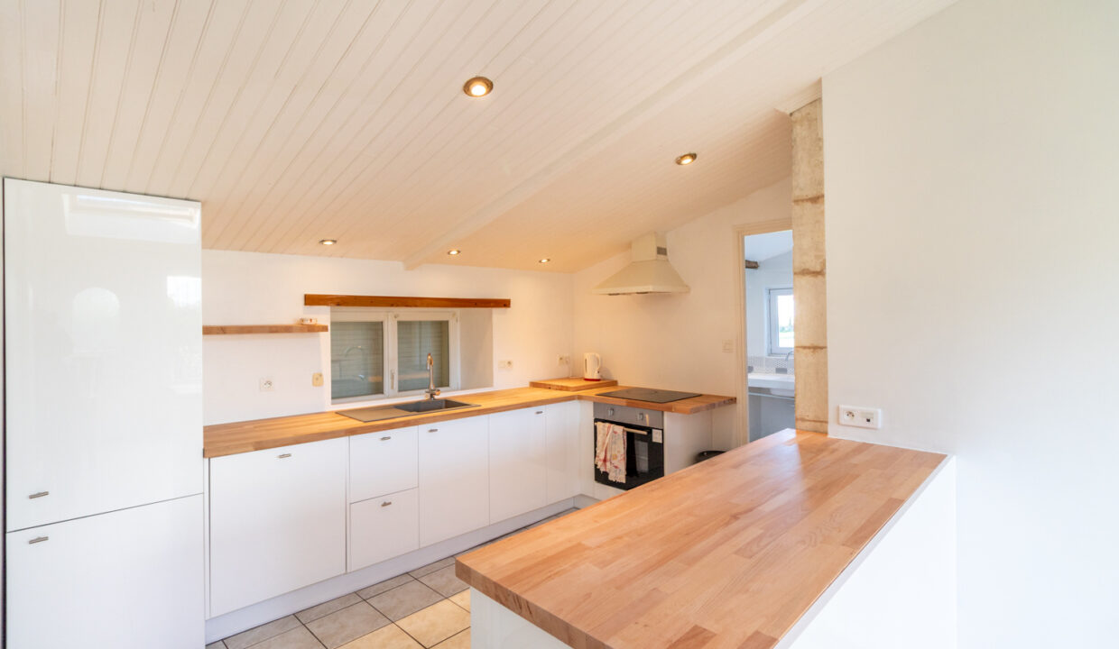 photo_8eade416c8db4d2d4f64bd284a5162c1