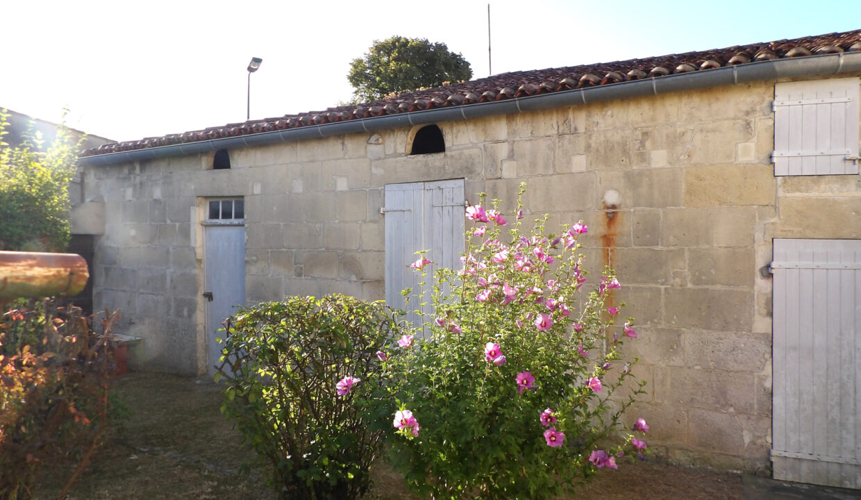 photo_9f87ada5834022e53a5cabc900116ab1