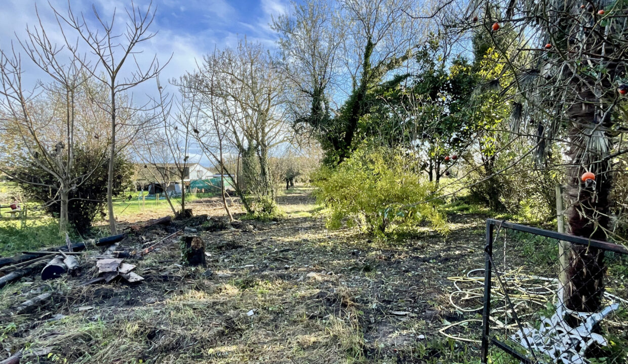 photo_bee4930df758c74d584843d4e144cd34