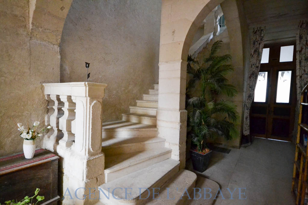 photo_d91cca47817fb0b7b09d138e78410d0c