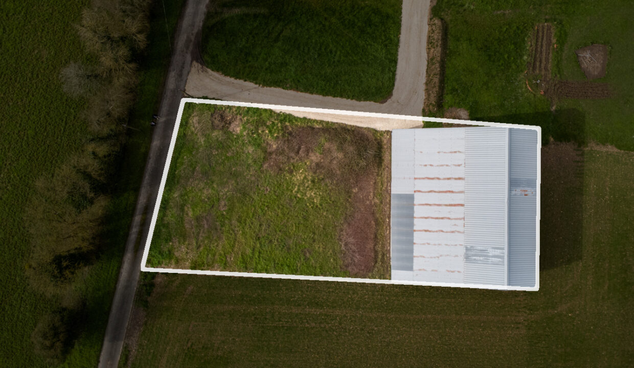 photo_19d2502686f6bfda6da6f14f6b097ac0