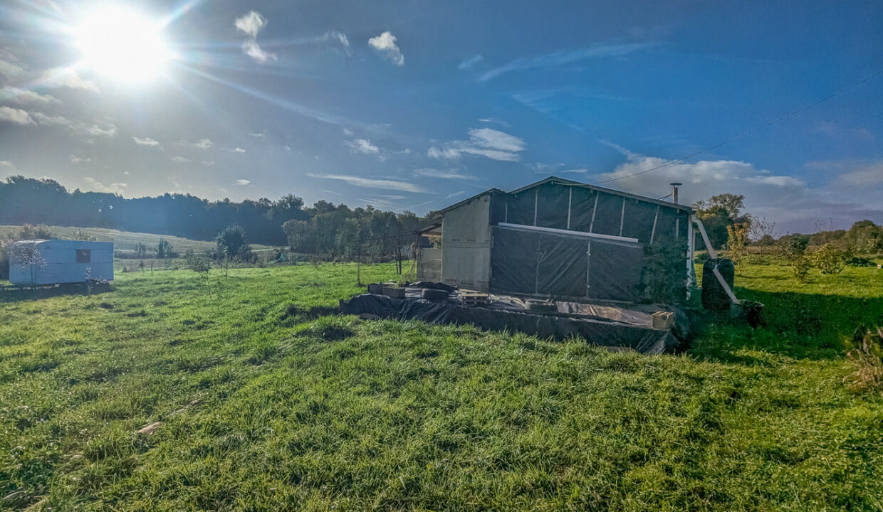 photo_1e6faf05b6f2e24ad80396f4e85cc503