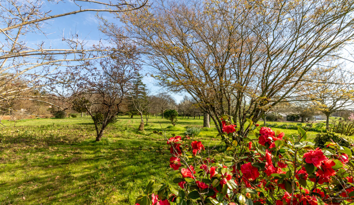 photo_335b106b4d2480b242dd581067205778