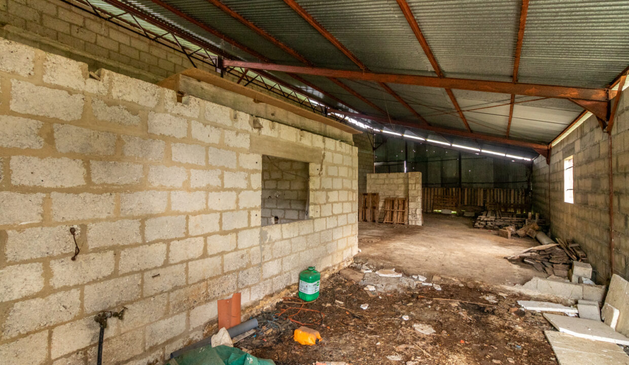 photo_49353a9b2fc3332e77c377d85fb6c9eb