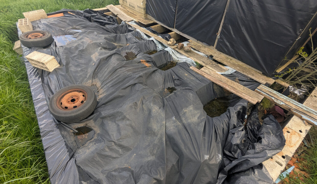 photo_4af4be93cd8535f5bee53b1bb3177840