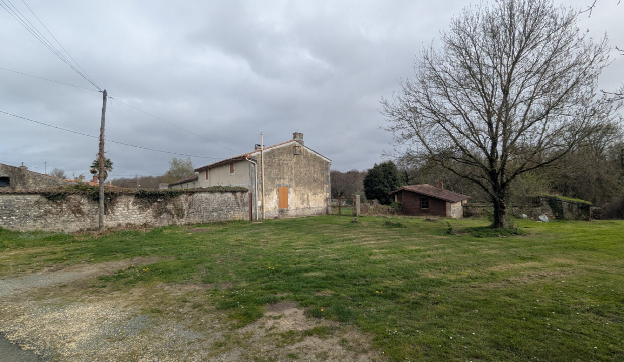 photo_5e9e4ff9fb253ee22f2ef6a0bb9f65b6