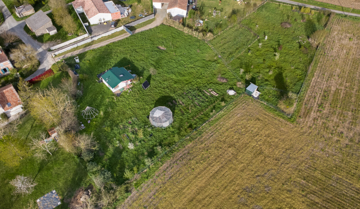 photo_6150ffcd0a9622969b954d543229b707