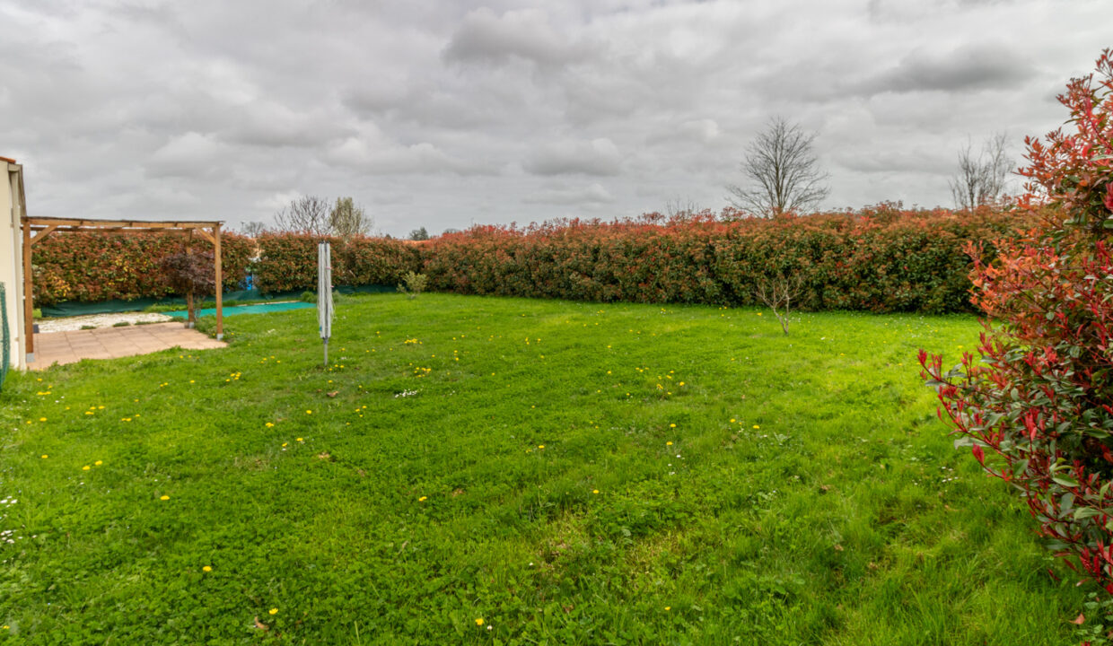 photo_65b4577d16524714f49a68ed8cea89f8