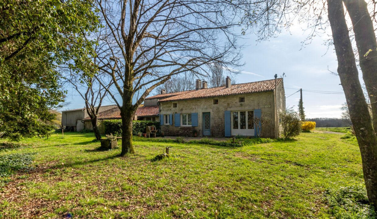 photo_8e383ba9c357d735c6320b8993c628d1