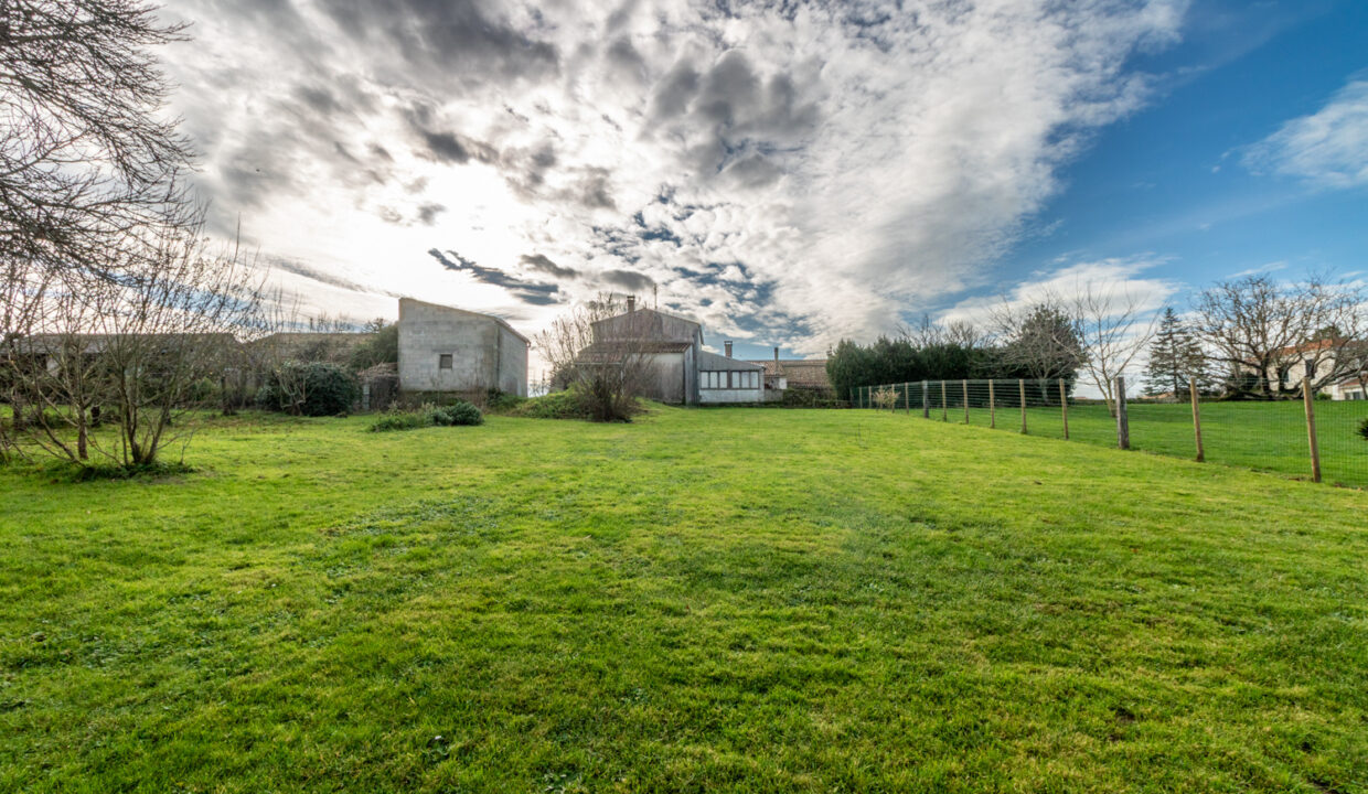 photo_94efd61a48ba954cb0ba9103539dff3b