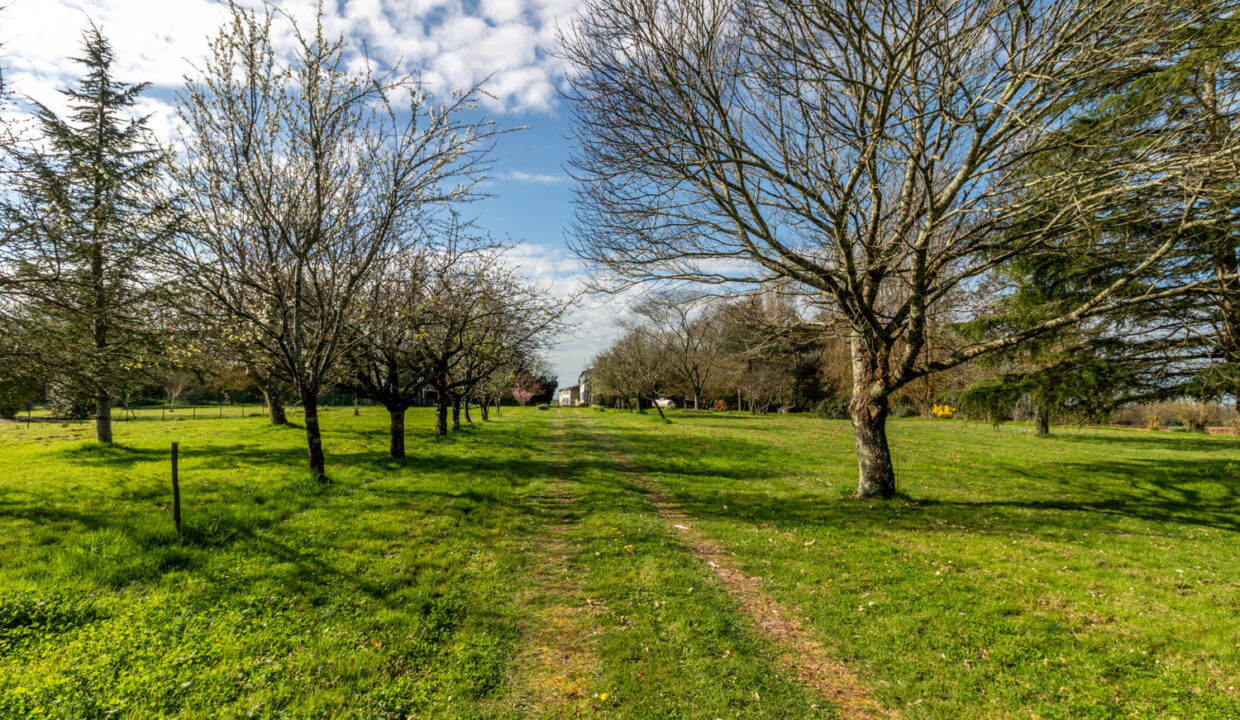 photo_9ca9bf0bb8a3bb3005cb5ac1f6860c05