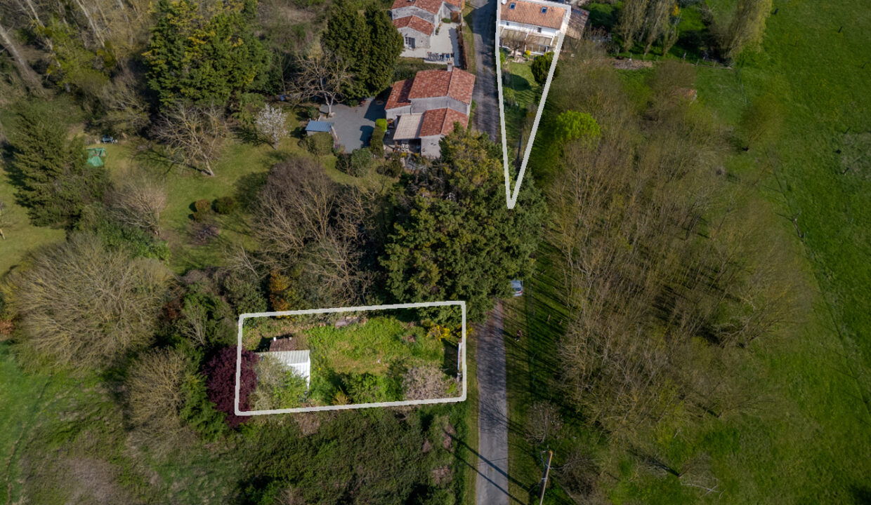 photo_a3151df0009e14a857146adce68b1f3d