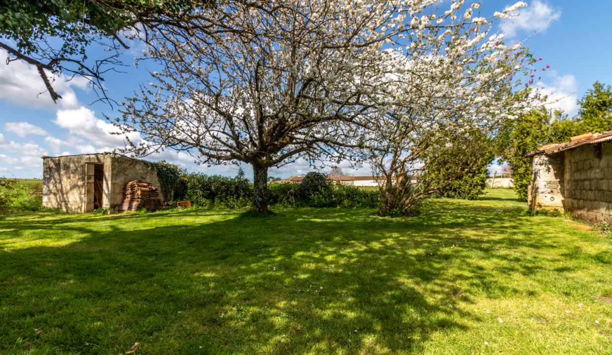 photo_ad2eb018e6ad8a21e8d4ae3b1ce235b5