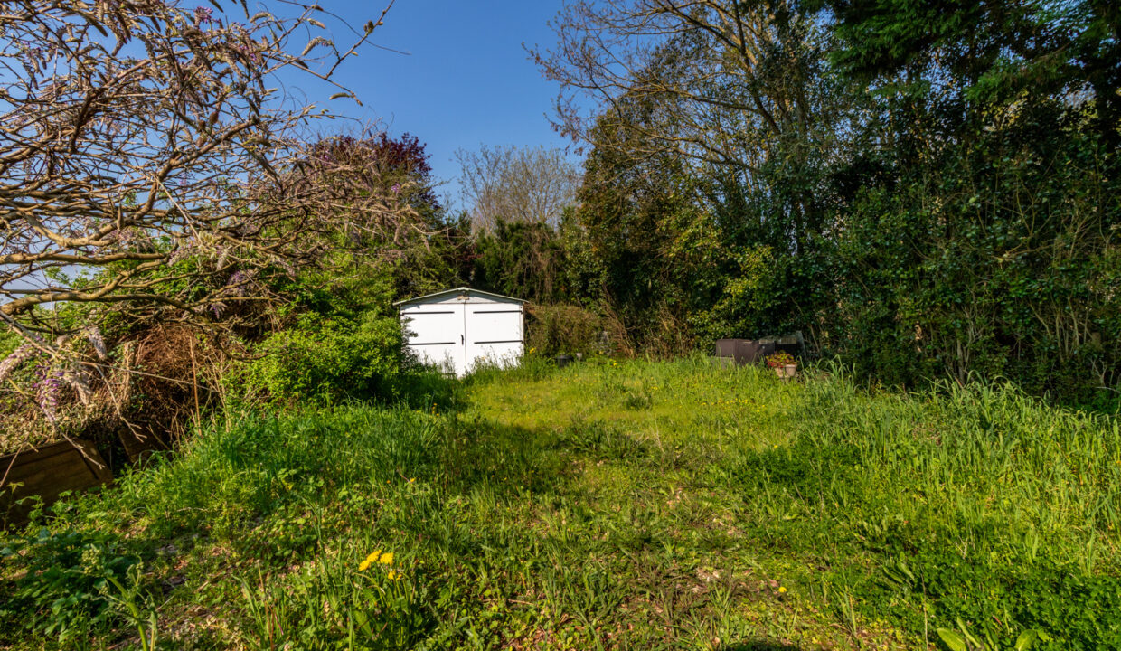 photo_c407a4876178137b56c08da911c1255c