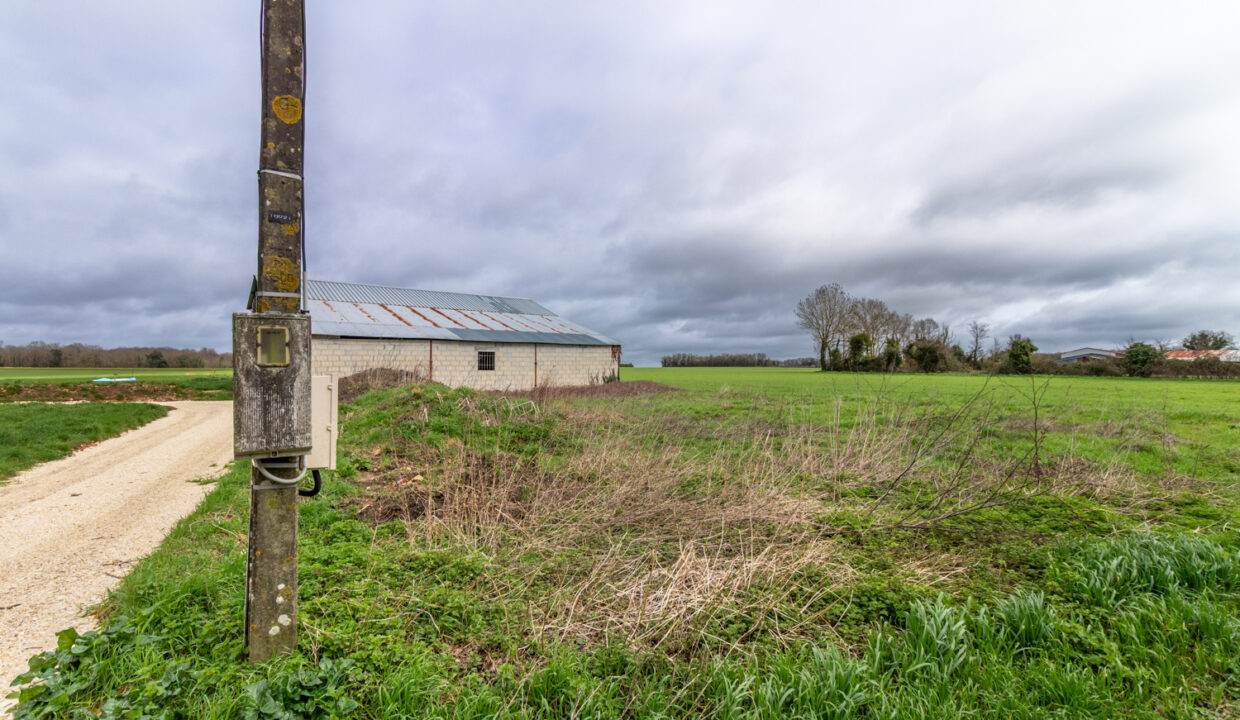 photo_c694699bfc5a3129aef378a6906af714